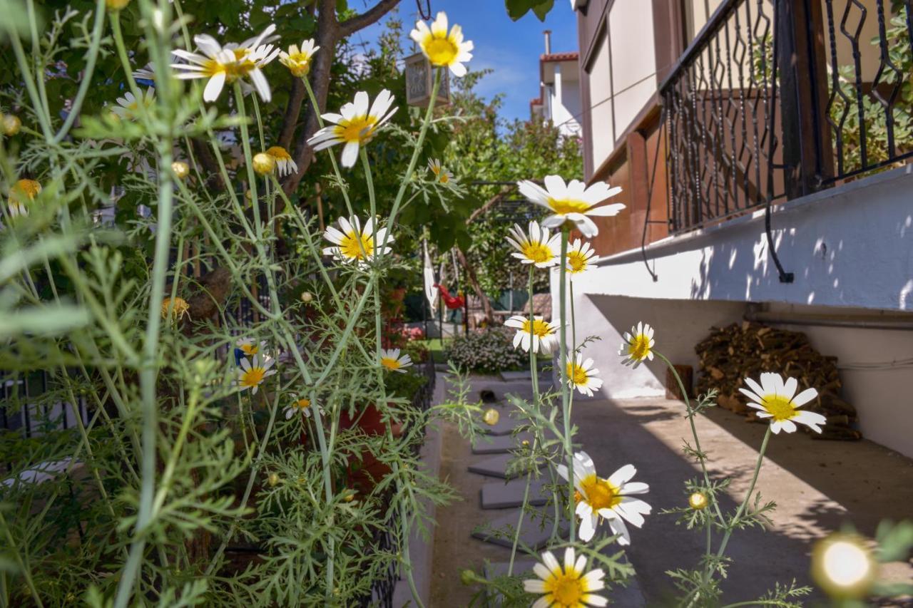 Apartmán Petros House Nikiti  Exteriér fotografie